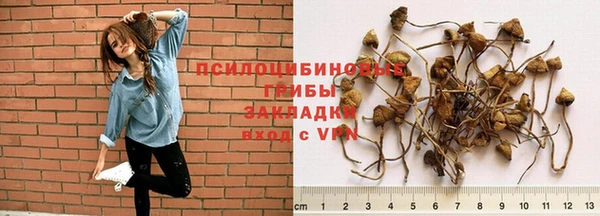 кокс Баксан