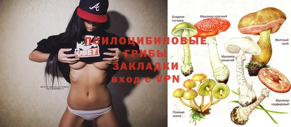 кокс Баксан