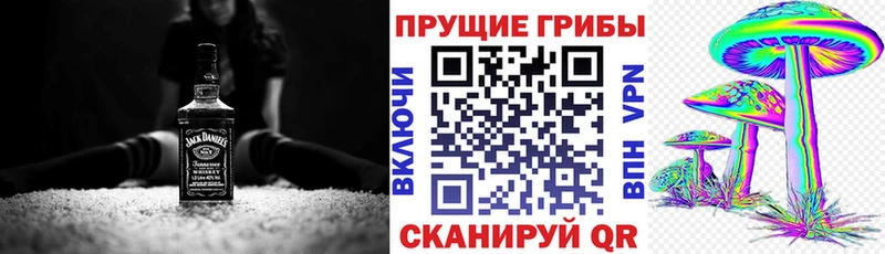 Псилоцибиновые грибы GOLDEN TEACHER  Купить где  Севастополь 